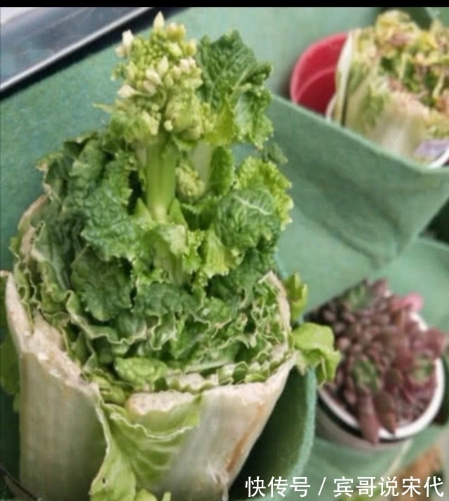 孩子们|幼儿园老师让带盆栽,最后一个小朋友你带的这是啥?