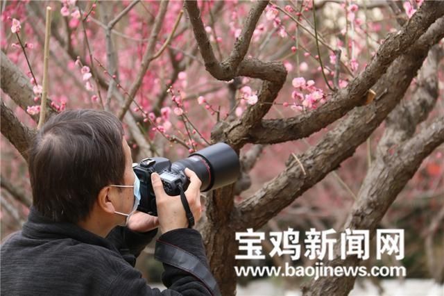 「图集」走在春天里 打卡宝鸡“花花世界”