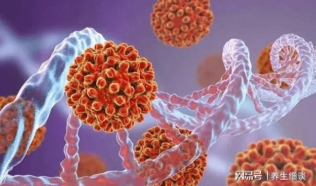 传染|乙肝病毒有哪些传播途径？洗碗未分开，会不会被传染？