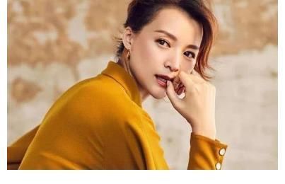 董卿遭遇危机,30亿欠款破碎了她的豪门梦,她因何沦落至此?