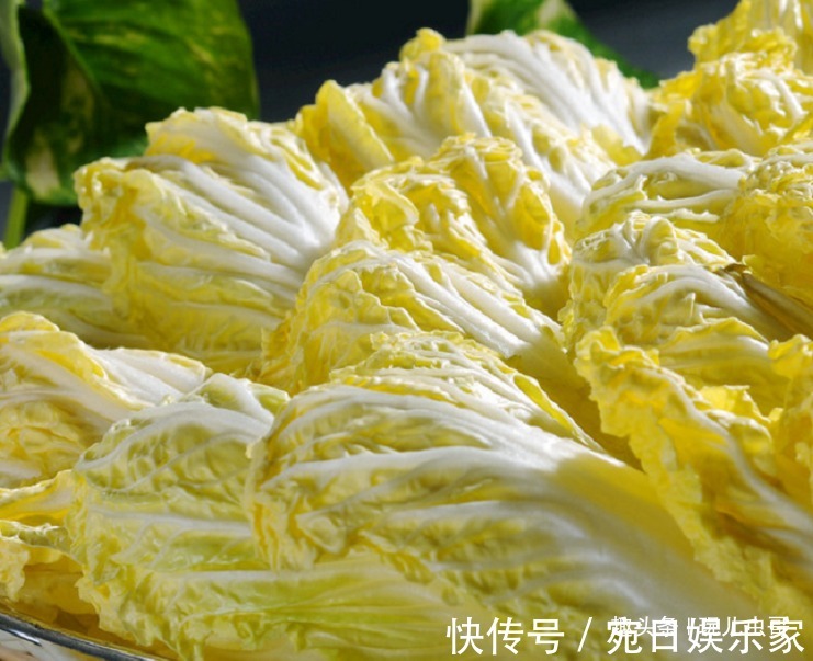 娃娃菜|娃娃菜味道鲜美，营养丰富，让更优质的娃娃菜上市，仅需做好三点