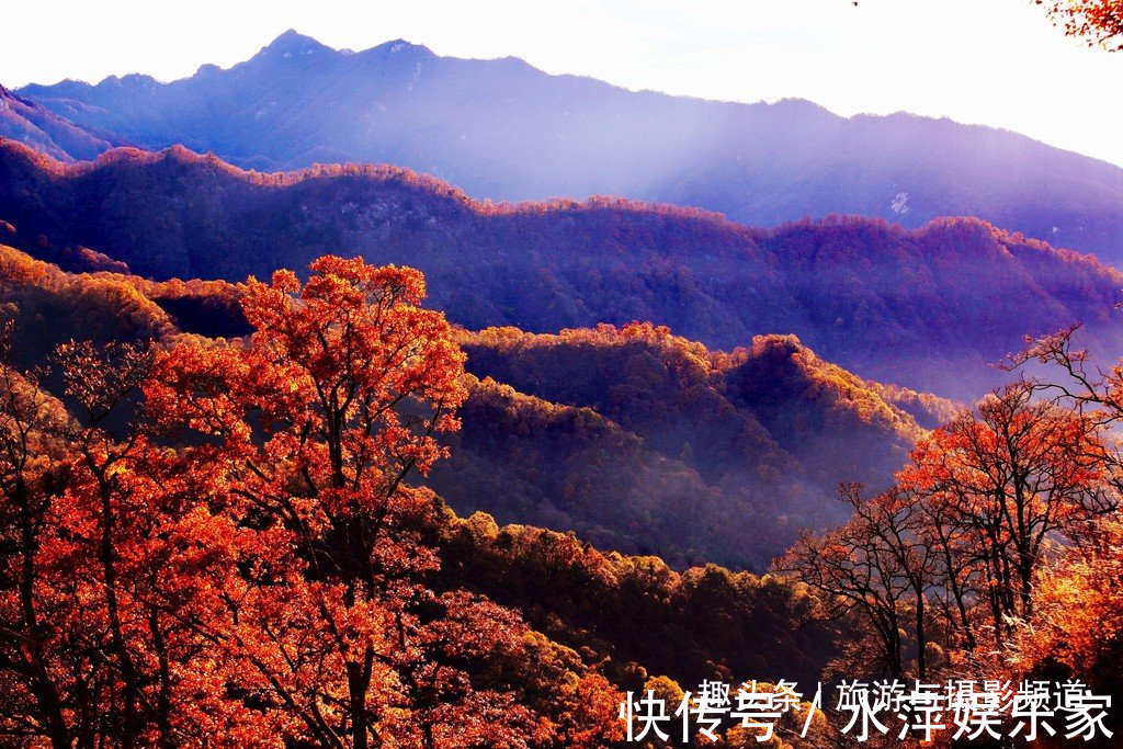 红叶|大别山“赏秋圣地”云海红叶人间仙境，现在正是最佳观赏期！