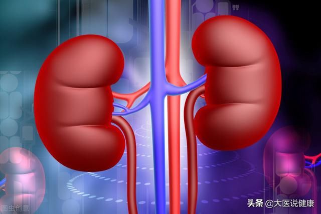 莫主任|中药大黄伤脾胃损正气？中医：大黄对肾脏有5个好处，这样用更好