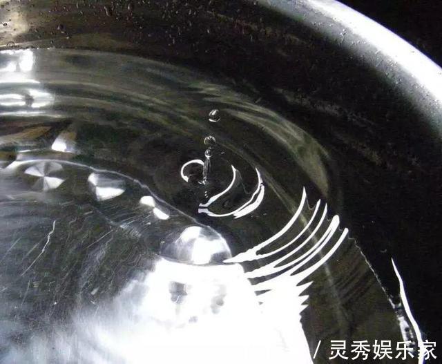 植物|养花浇水“学问大”，老花匠教你什么水、什么时间适宜浇花！