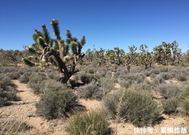 沙漠 美卫星路过中国上空拍下惊人一幕,西方坐不住了到底咋做到的