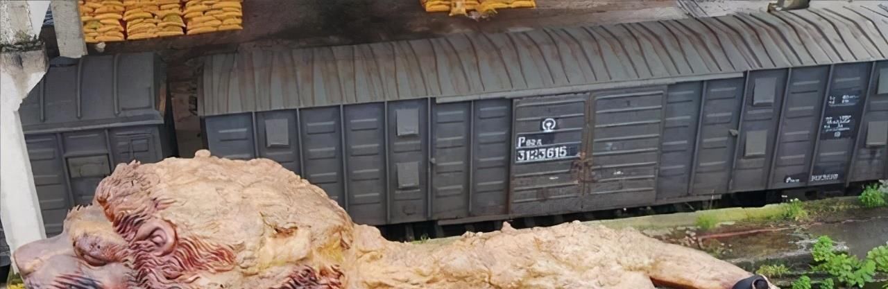 匠人$一匠人雕15米30吨重“雄狮”,称没1000万不卖,今宝物变“废品”