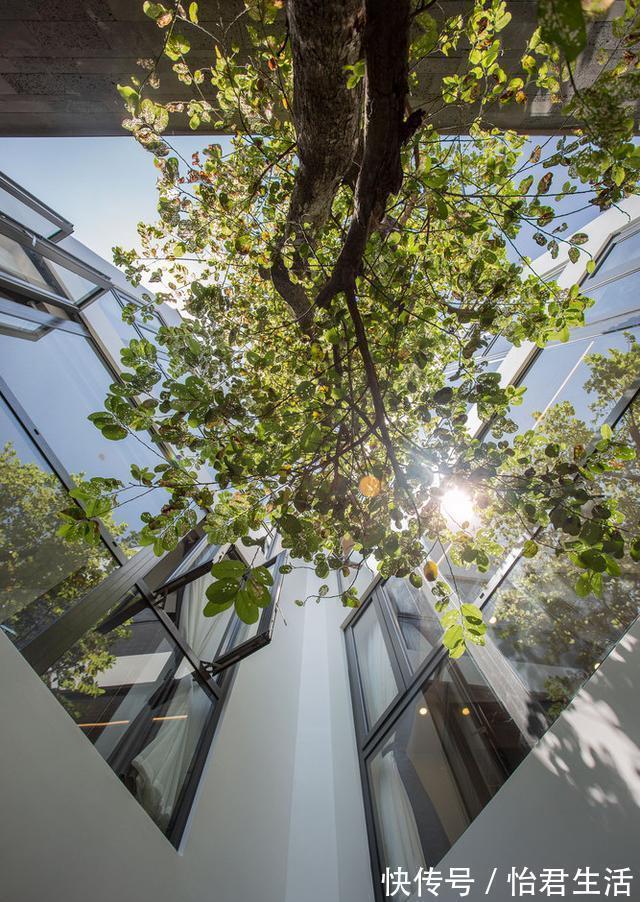 绿植|瞧瞧别人家的自建房,这才是正确的打开方式,舒适度不比豪宅差