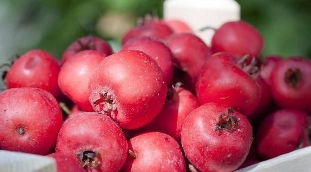 平稳|血脂高怎么办？3种食物每天多吃点，其实平稳血脂很简单！