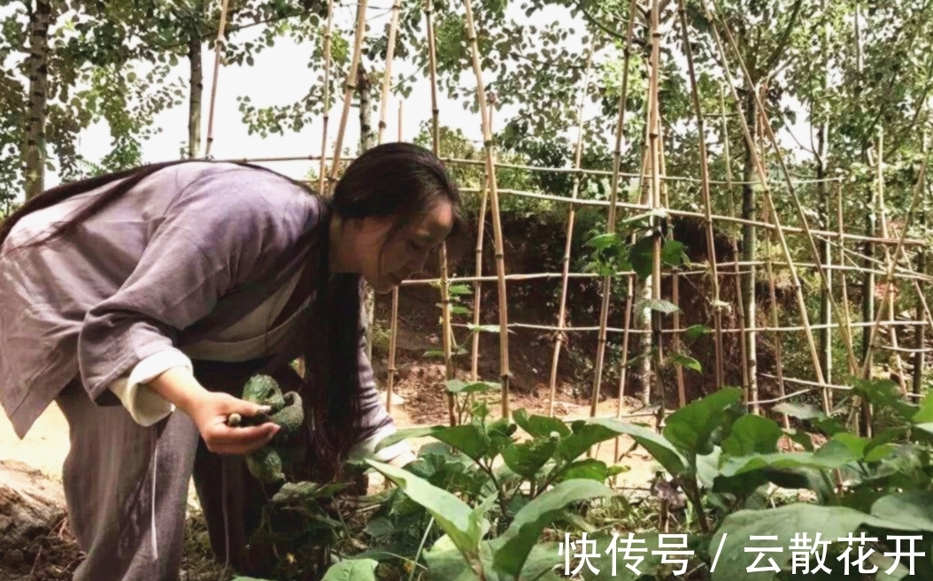 道家&道家追求“性命双修”,它究竟是什么?常人也能用到