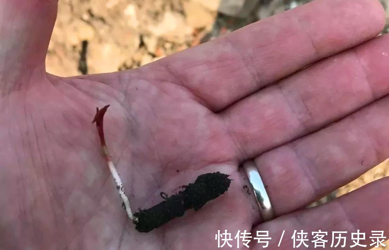 入药|一种植物甚至可以将人逼到自杀，它究竟是什么植物？