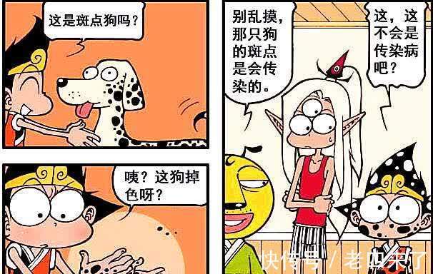 身材|贵妇犬不仅身材傲人,而且还能暖床,为何二郎对其不屑一顾?