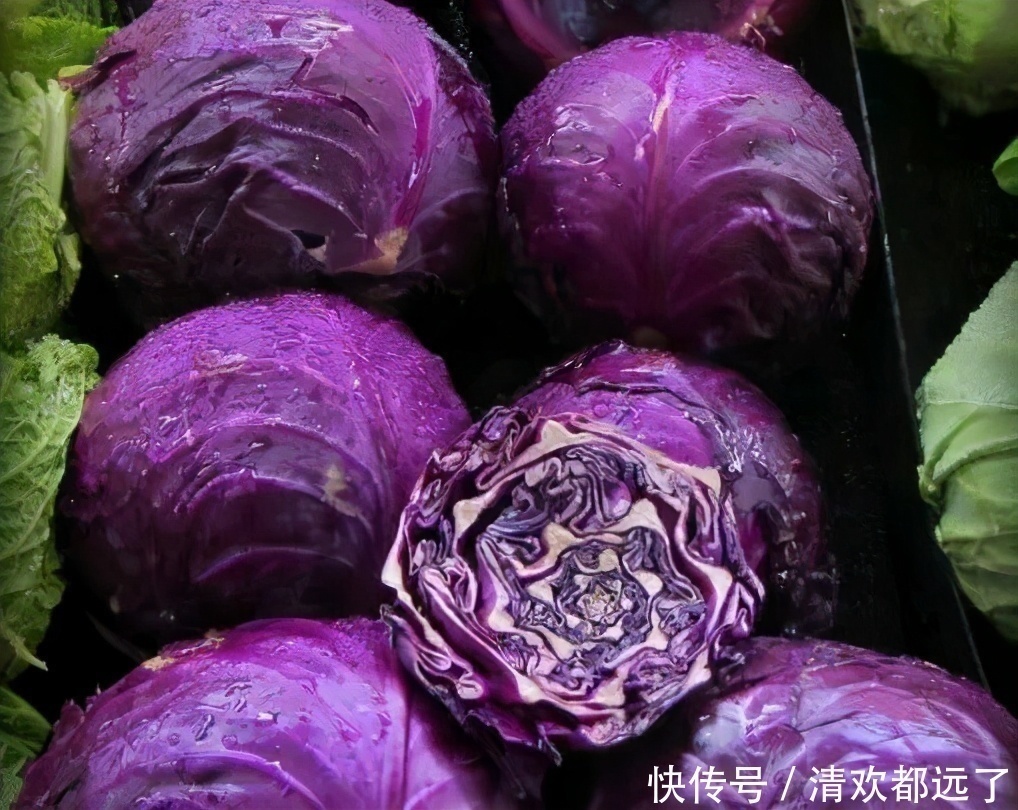 甘蓝甘蓝|为了身体好，要坚持吃3种食物，补充营养，身体棒棒哒