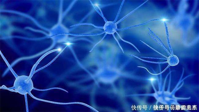 痴呆|日本研究发现爱做三件事的老人不易痴呆,聪明的老人早就学会