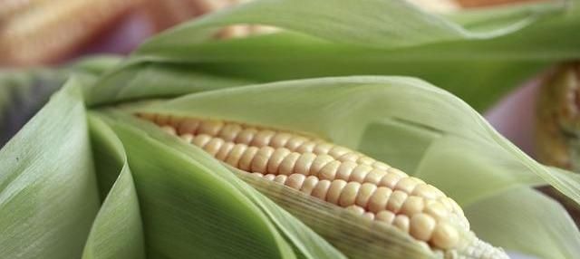 减肥瘦身|女性看过来身高152-176标准体重表已公布,其实你用不着减肥