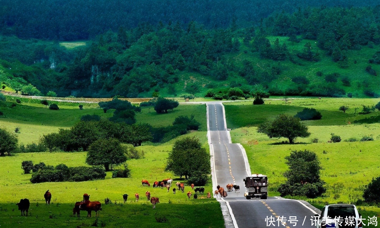 重庆一“巨无霸”公园走红，占地面积5070公顷，媲美园博园