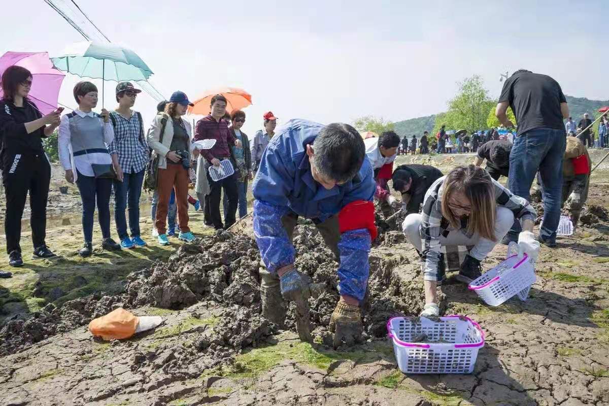 行游泗洲头山海之间，偶遇一个水灵灵的美丽乡村