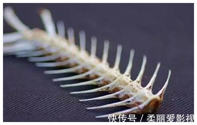 整瓣|“鱼刺”卡喉咙不用喝醋了，鼻子里塞“它”，鱼刺自己“跑出来”