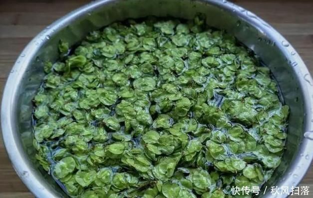 老奶奶|失眠多梦不用怕!80岁老奶奶的秘方:每天吃一点,一夜无梦好睡眠