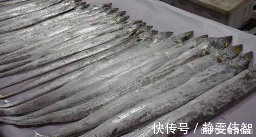 为什么带鱼要进口,而不在东海和南海自己捕捞今天算长见识了