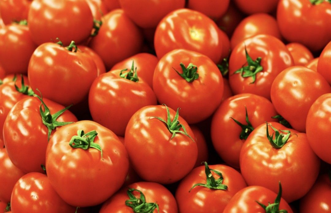 抗癌的西红柿，若存放不当，能致癌？！