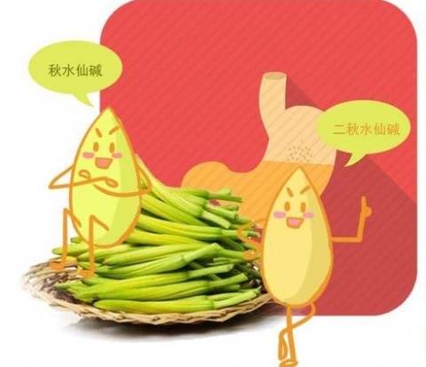 无论有多懒，这5种蔬菜吃之前要焯水，否则等同在吃“毒素”