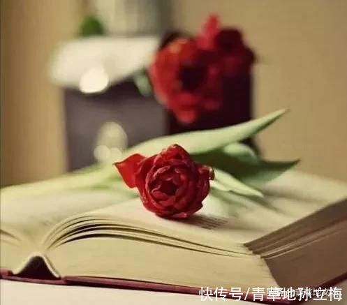 苇海|青草地文学：秋夜情歌