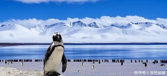 马里亚纳海沟 地球上7个最神秘和人类尚未涉足开发的地方