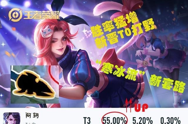 巅峰|巅峰赛阿轲胜率飙升至第二,版本加强是一点,“寒冰流”是关键