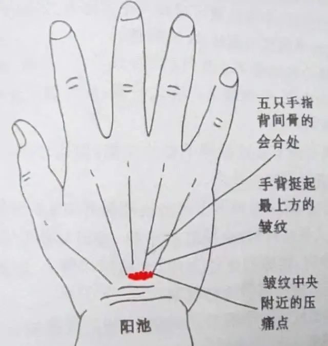 阳池穴|血糖高的人,饭后有3种表现,若一个不占,血糖还算稳定