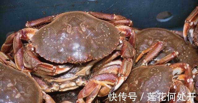 家里有黑蜘蛛什么征兆