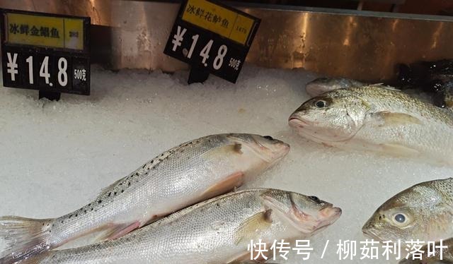 黄骨鱼|冬季7种鱼最肥美,肉质鲜嫩,营养健脑,孩子常吃记性好!