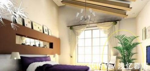 为什么有钱人家这几处都放植物听完内行人的话，我也想回家放！