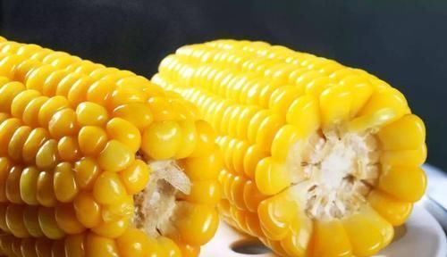 饱腹感|盘点公认的瘦身主食,减肥期多吃这些食物,让你轻松瘦下来