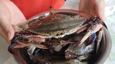 螃蟹|蒸螃蟹时,最忌直接上锅蒸,多加这一步,螃蟹鲜香,不掉腿不流黄