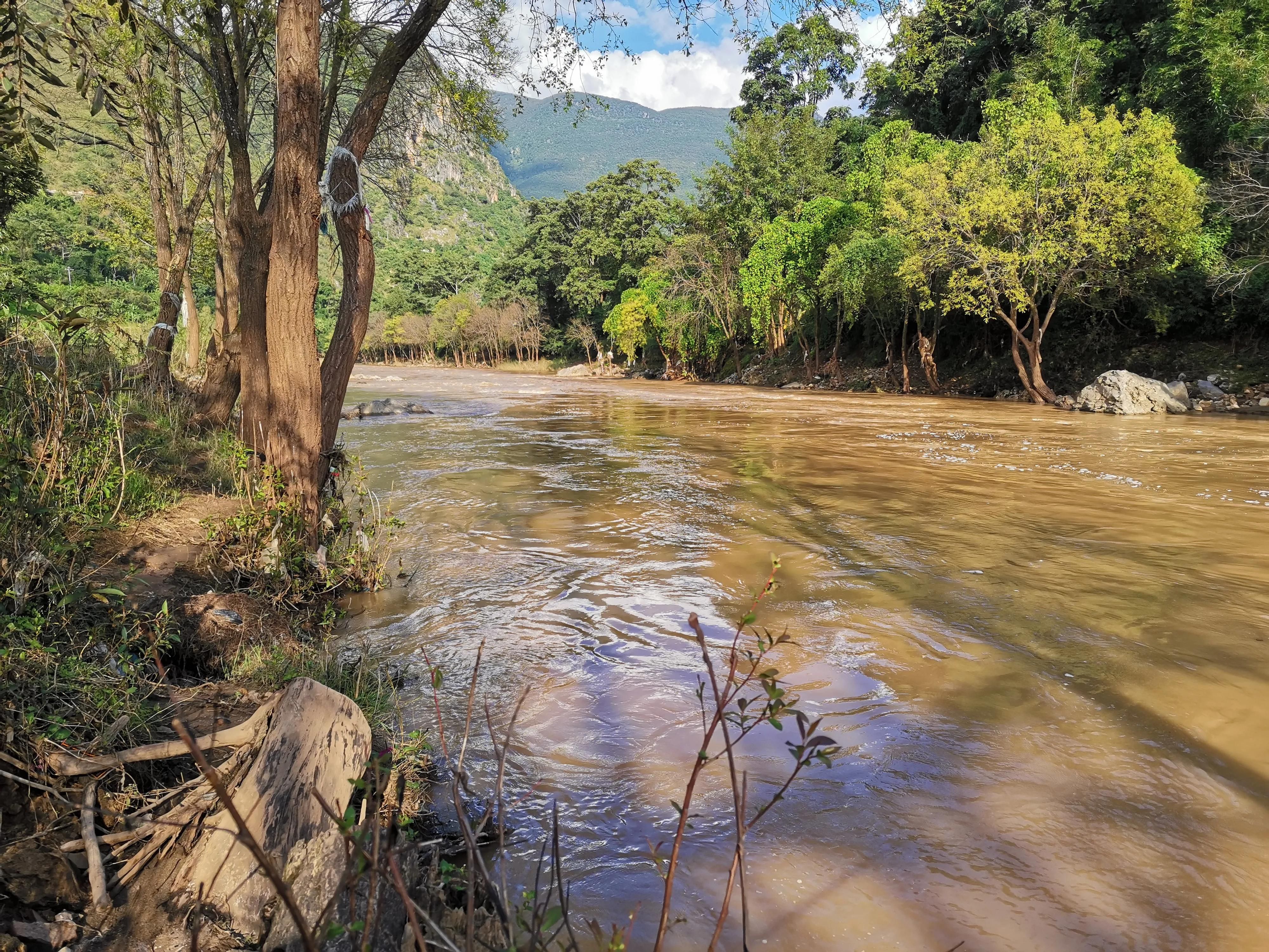 野河休闲野钓，这种鱼像黄辣丁但又不是，相信很多钓友都没见过