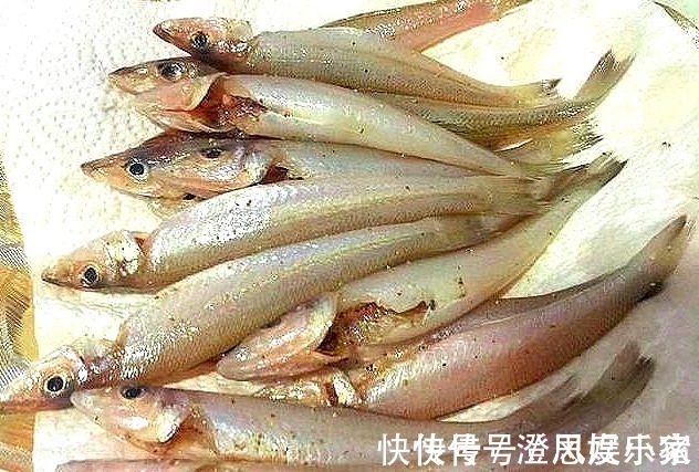 步骤|煎鱼时，下锅前多做这两个步骤，鱼肉不散、不破皮，比刷姜片管用