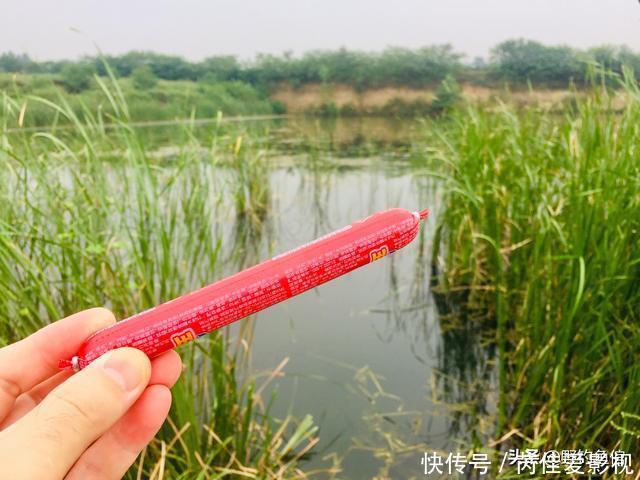 用它钓鱼,只需一块钱,反复用多次,防止杂鱼闹,还钓各种鱼