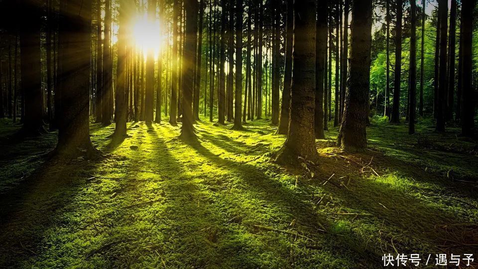 秋气属金|圆运动是如何看待五行的