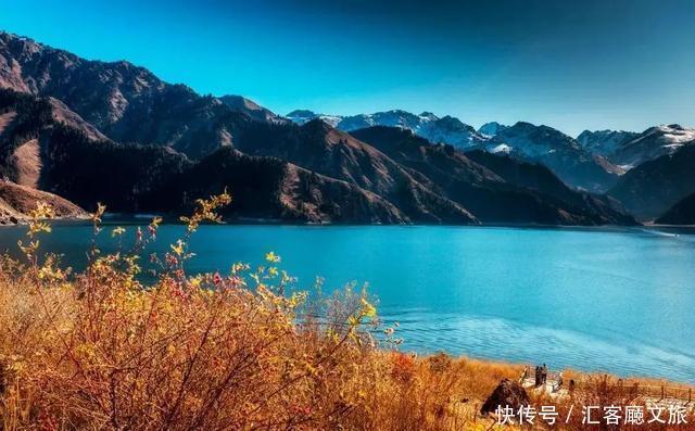 老年|趁春光,打卡新疆最美花海、草原、湖泊、古城、村落……