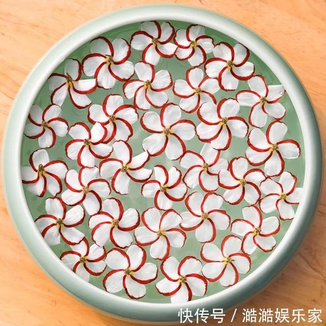 养花杀手养啥养不活这些花寓意好、皮实好养活,附养花技巧!