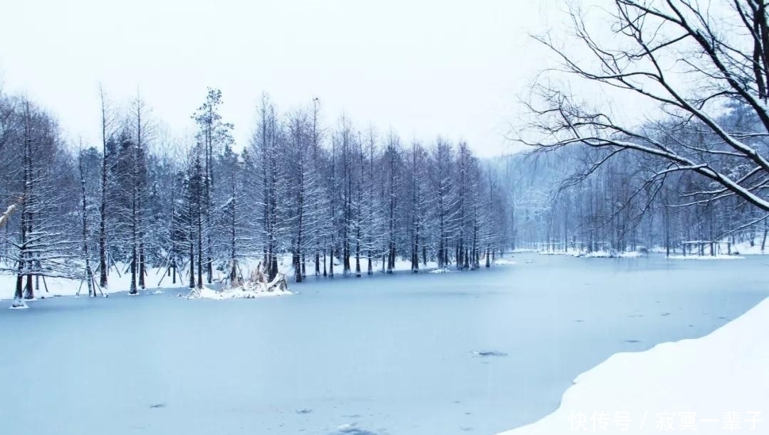 谢道韫|写雪最传神的三句诗，第一句太绝了，不愧是千古流传的名句