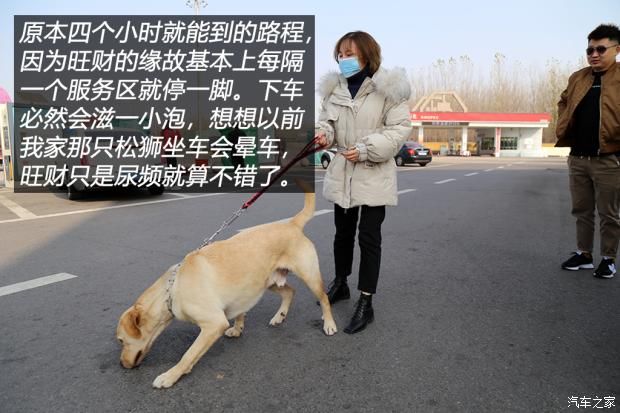 说走就走|三人一狗说走就走 冬季阿那亚自驾游记