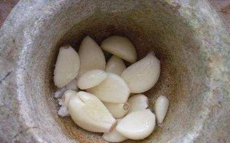 叶子绿油油|用大蒜养花,长得快不烂根、20年不长虫叶子绿油油!花开长势旺盛