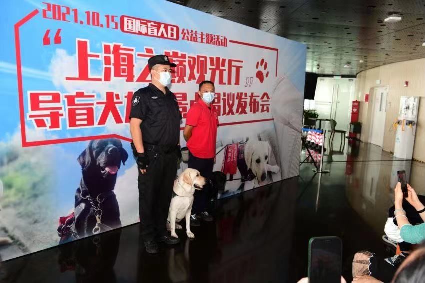 上海中心|导盲犬与搜爆犬“巅峰会面”，上海之巅观光厅成导盲犬友好景点