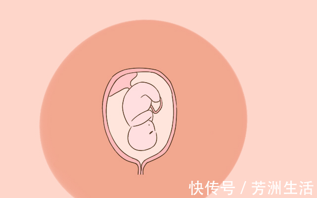 微观察|胎儿最喜欢在这2个时间段休息,孕妈尽量别打扰,不然影响其发育