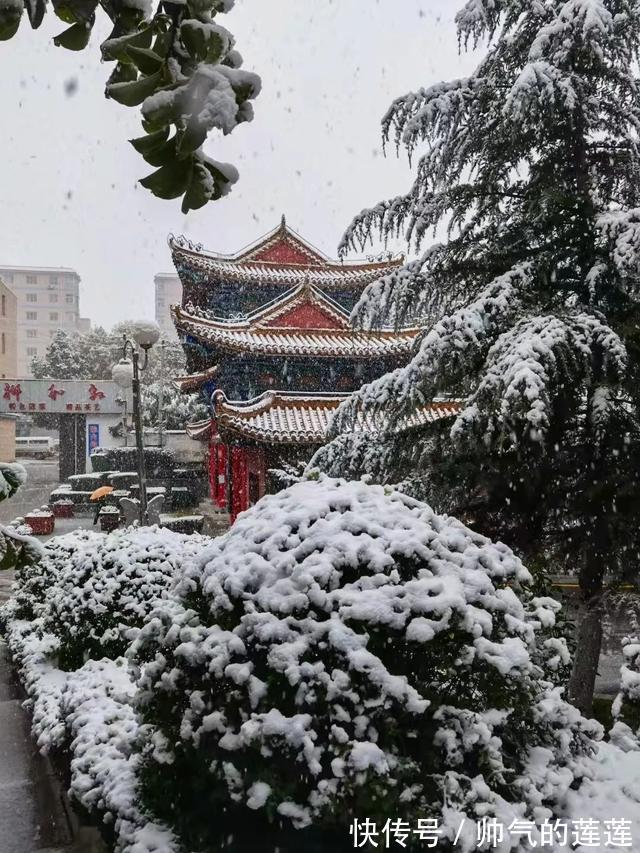 雪景|惊艳！平凉迎来入秋第一场雪，刷爆朋友圈！