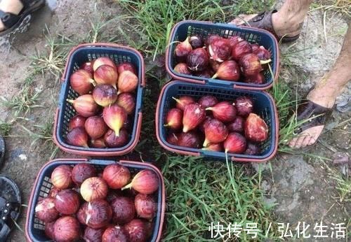 补血益气|每天晚上坚持吃3种食物,滋阴补肾,补血益气,早吃早受益!