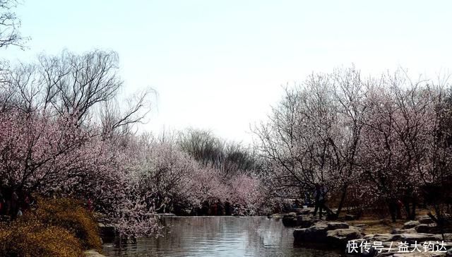 秀美山谷的春色,尽在一首无题诗中,无一个情字,而又字字关情