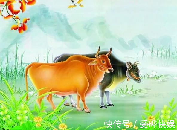 生肖|有情有义的4个生肖,为人善良,一生知己朋友多!