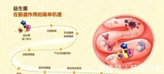 肠道|研究证明:有些服用益生菌不仅无利,还可能对影响人体健康。